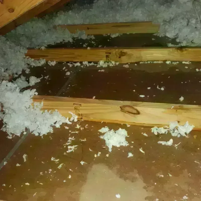 Attic Water Damage in Richwood, TX