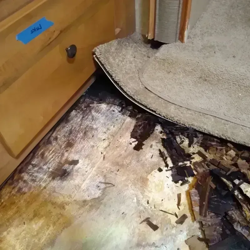 Wood Floor Water Damage in Richwood, TX